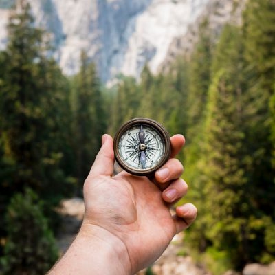 person holding compass facing towards green pine trees